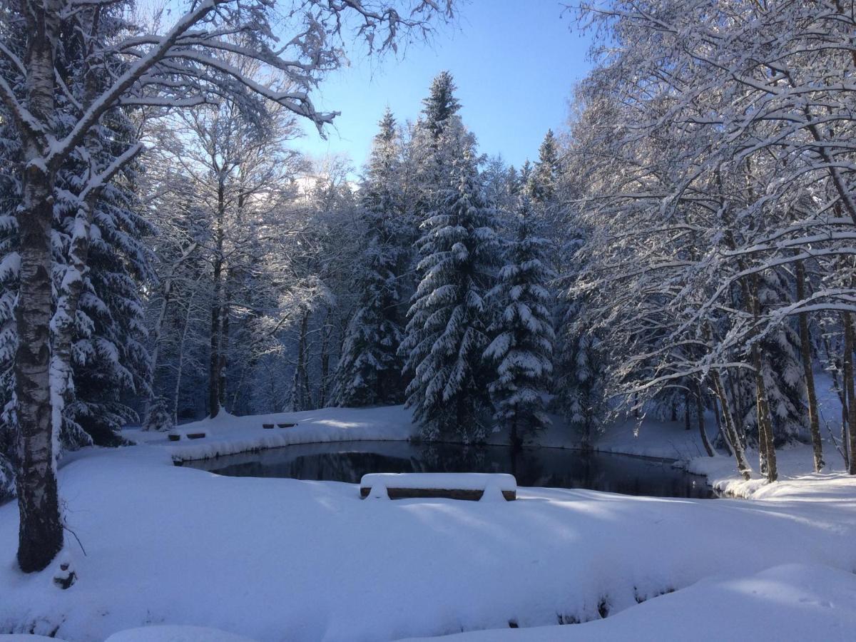 Chata Rozhlas Zelezna Ruda Bagian luar foto